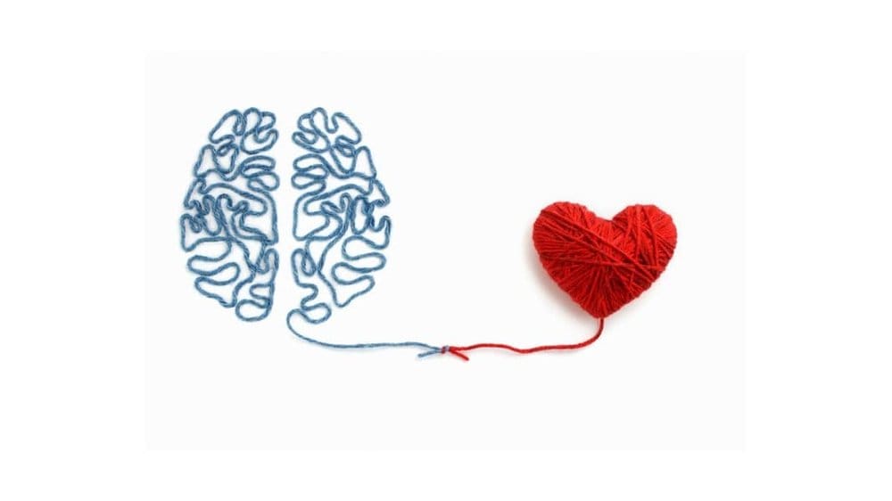 HRV and wellness Reviews, Wearables