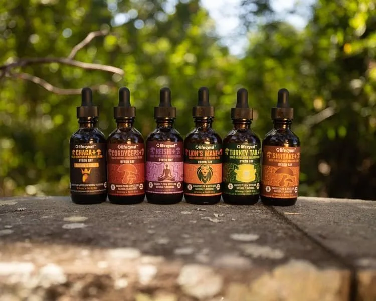 Better Sleep, Best Recovery - Everything You Need To Know About Sleeping Better For Performance 9 Lifecykel mushroom extract range Guides