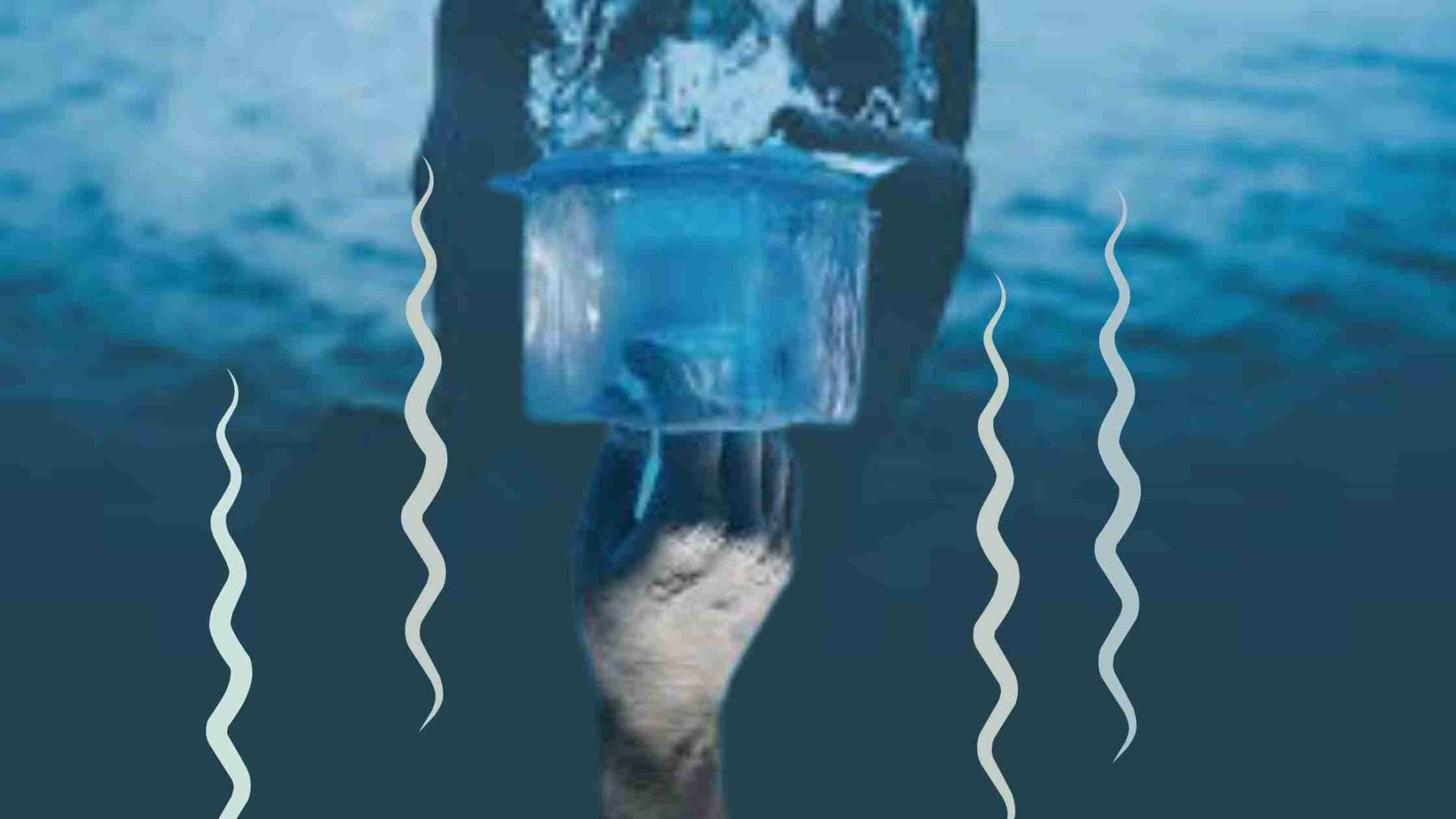 Best Red Light Therapy Recovery Guru