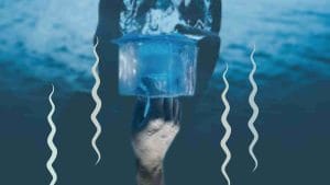 Read more about the article Top 5 Mistakes When Taking an Ice Bath or Cold Plunge – How To Avoid