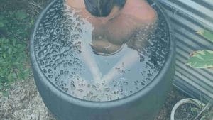 Read more about the article What Are Heat Shock and Cold Shock Proteins?