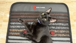 Read more about the article Bon Charge PEMF Mat Demi Review: Benefits, Tips, and Price-Value