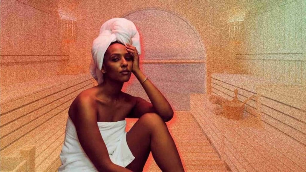 Traditional vs Infrared vs Steam Saunas - Differences, Benefits and Risks 1 sauna differences Guides